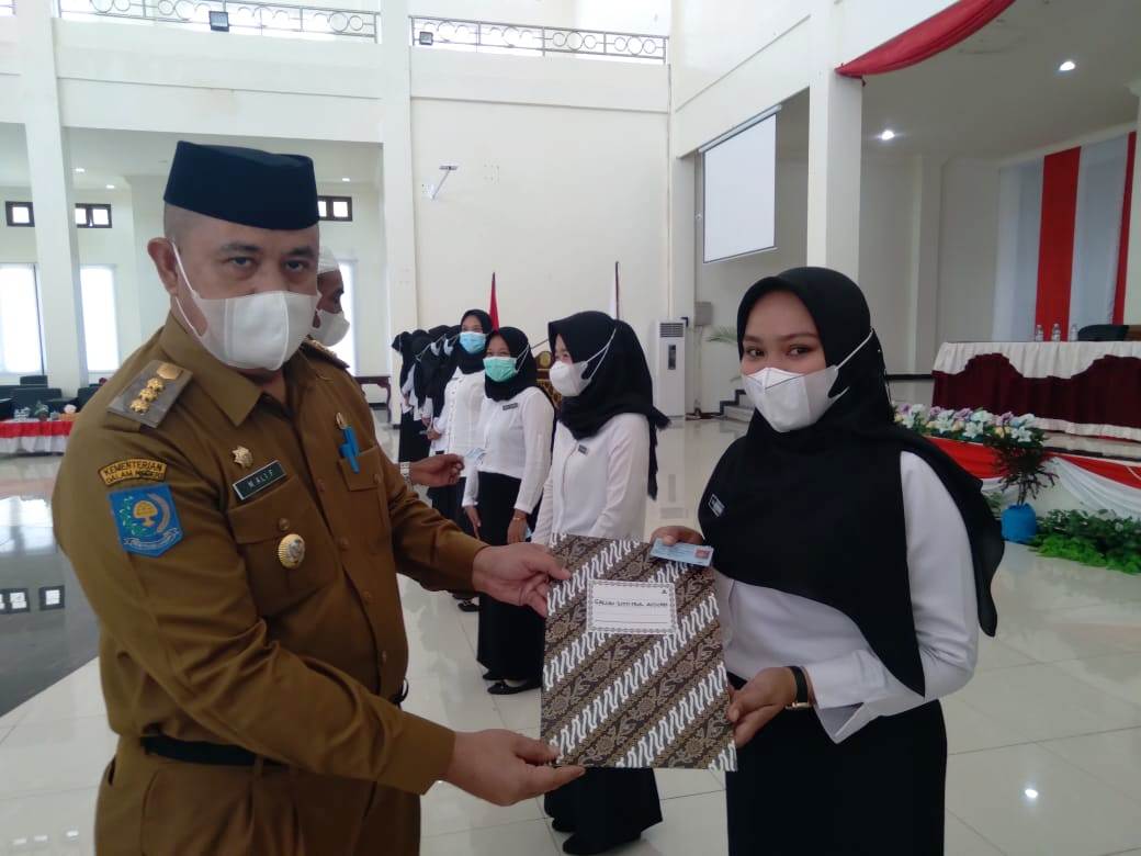 Cpns Halmahera Timur Terima Sk Dilarang Ajukan Pindah Sebelum 15 Tahun Tandaseru Com