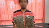 Pelaku peredaran ganja yang ditangkap polisi. (Istimewa)